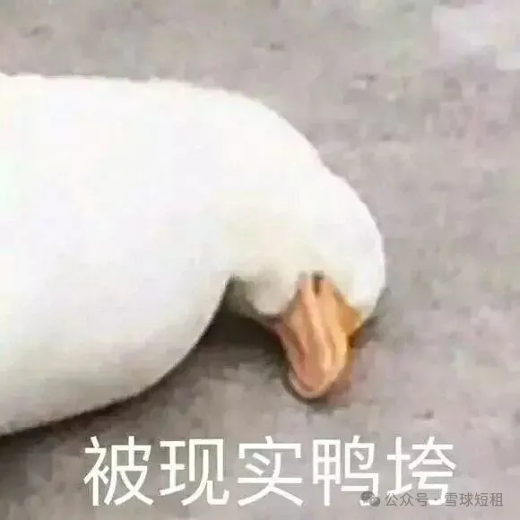 原文鸭子配图,文字为“被现实鸭垮”(“被现实压垮”的谐音梗);公众号·雪球短租。非房源照片。